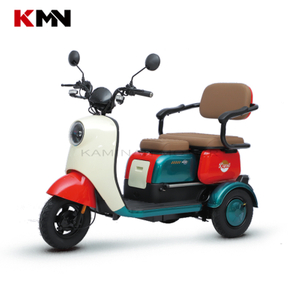 Electric Motorcye 60V 20ah Electric Scooter 650W Tricycle Electric Passenger Three Wheel Vehicle Lucky