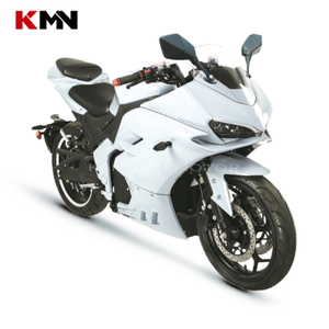 Electric Racing Motorcycle 72V 32ah 40ah Electric Motorcycle 2000W-3000W Sport Motorcycle Dragon