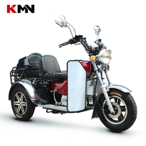 Gasoline Disabled Tricycle 125cc Three Wheel Motorcycle Threel Wheeler Gas Trike Prince Ds125
